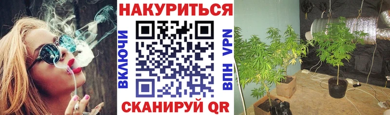 Бошки марихуана марихуана  Нефтекумск 